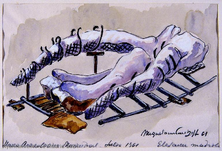 Ilustración elefante de Orcasitas